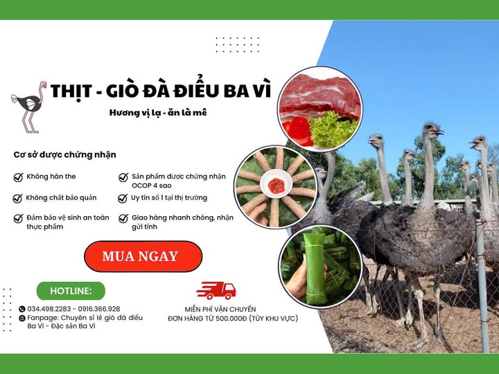 Chuyên ĐẶC SẢN GIÒ ĐÀ ĐIỂU - THỊT ĐÀ ĐIỂU TƯƠI SẠCH BA VÌ