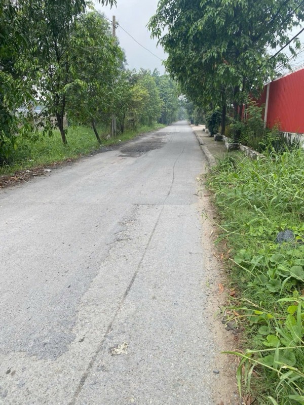 Bán Gấp 2668m2 Đất Thổ Cư Bình Chánh - An Phú Tây  - Chỉ 65 Tỷ