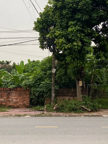 SỞ HỮU NGAY LÔ ĐẤT MẶT ĐƯỜNG NGUYỄN VĂN LINH – VỊ TRÍ VÀNG CHO AN CƯ VÀ ĐẦU TƯ