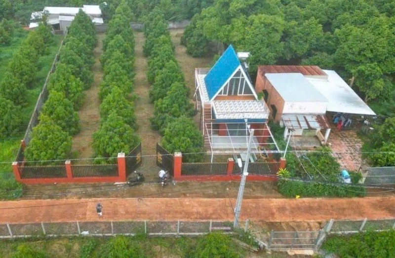 CẢ NHÀ SANG MỸ ĐỊNH CƯ KHÔNG CÓ AI CHĂM VƯỜN NÊN CẦN BÁN GẤP VƯỜN SẦU RIÊNG 300 CÂY CÓ HỆ THỐNG