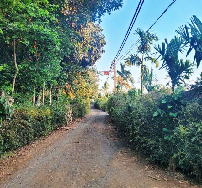 BÁN GẤP LÔ ĐẤT NN 1.3HA - GIÁP HÒA THUẬN - BUÔN MA THUỘT - ĐĂK LĂK
CHỈ 650TR/ SÀO