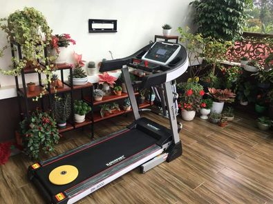 Thu mua máy chạy bộ, xe đạp tập thể dục , ghế tập tạ 