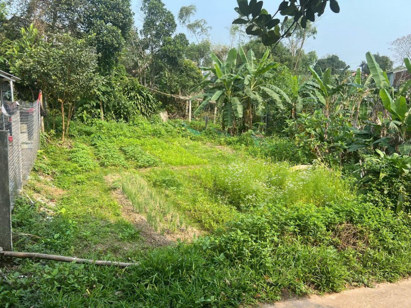 CHÍNH CHỦ CẦN BÁN ĐẤT HÒA NHƠN - HÒA VANG- ĐÀ NẴNG