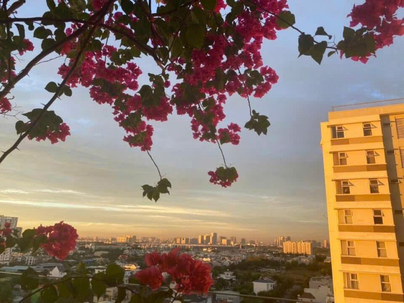 BÁN CĂN HỘ CHUNG CƯ FUJI – PHƯỚC LONG B, THỦ ĐỨC – FULL NỘI THẤT, VIEW 2 MẶT THOÁNG