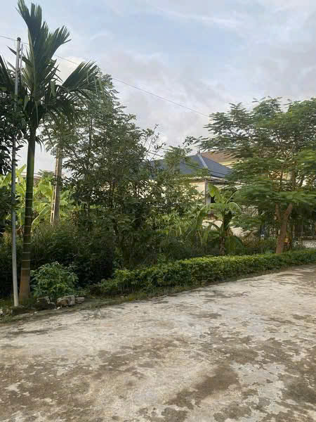 ĐẤT ĐẸP – GIÁ  TỐT - CẦN BÁN NHANH LÔ ĐẤT Mặt Tiền TẠI Xóm 5 Xã Quỳnh Ngọc, Huyện Quỳnh Lưu Tỉnh