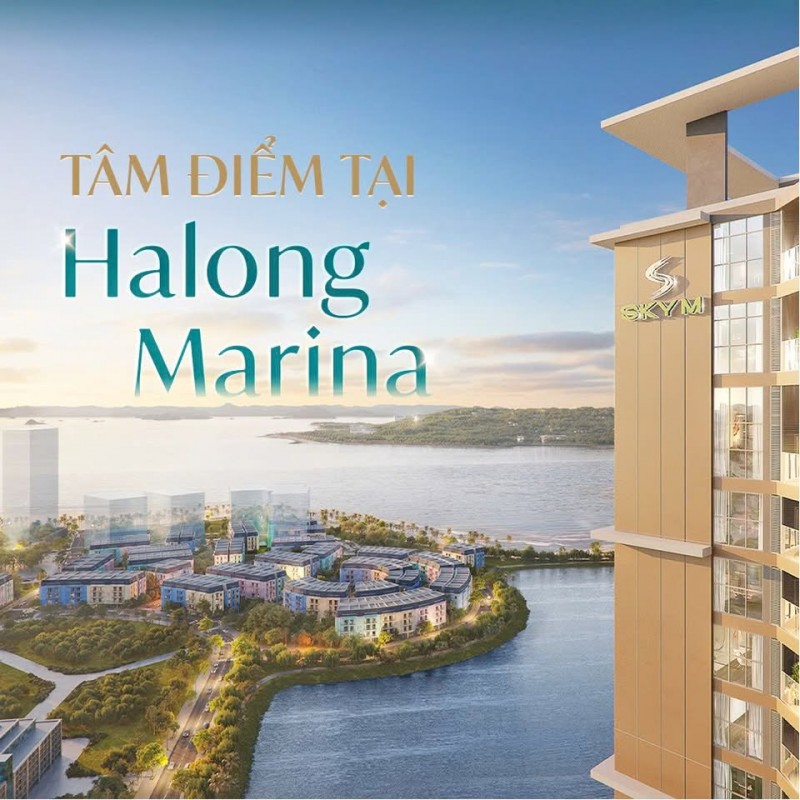 BÁN CĂN HỘ SKY M HẠ LONG - STUDIO - 31M2 - 1.5 TỶ - VỊ TRÍ VÀNG BÃI CHÁY