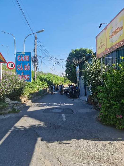 ĐẤT ĐẸP - GIÁ TỐT - Vị Trí Đắc Địa Tại Gia Lâm, TPHN