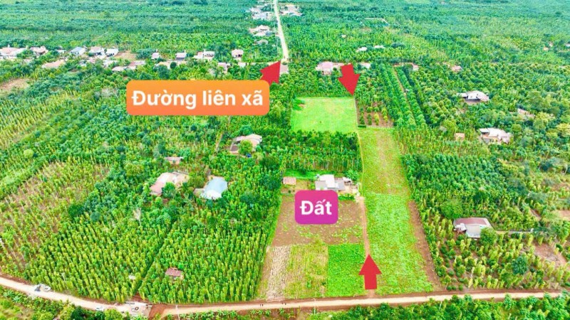 Ea BHốk- Cư Kuin- Đắk Lắk dt 11*50m sẵn 100m2 thổ cư đường ô tô tới đất tiện ích đầy đủ chỉ 369tr