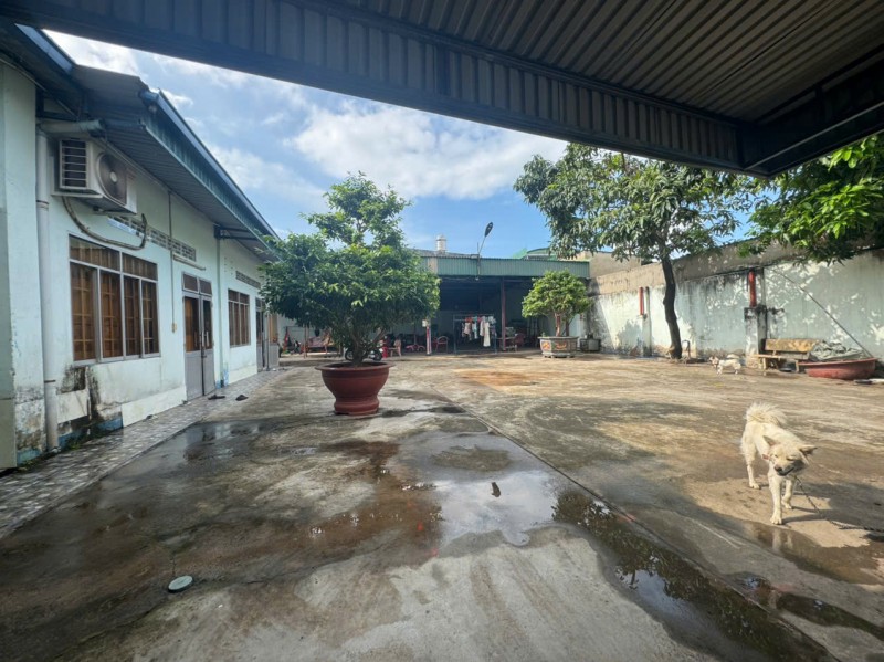 CHÍNH CHỦ BÁN GẤP 2 LÔ THỔ CƯ SIÊU ĐẸP -P.BÌNH ĐA - TP. BIÊN HÒA - T.ĐỒNG NAI DIỆN TÍCH KHỦNG 979M²