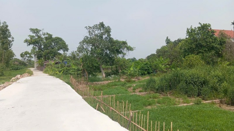 Bán đất Gia Bình, bắc ninh. 100m2 * mt 5m * 1,65 tỷ. ô tô đỗ, full thổ cư