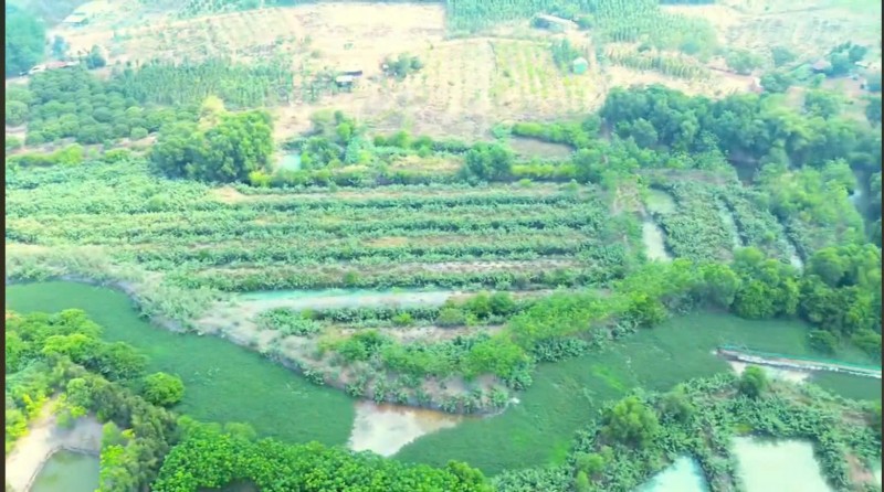 Bán 29.000m2 Đất Tại Ấp 2, Xã Thanh Hòa, Huyện Bù Đốp, Tỉnh Bình Phước.