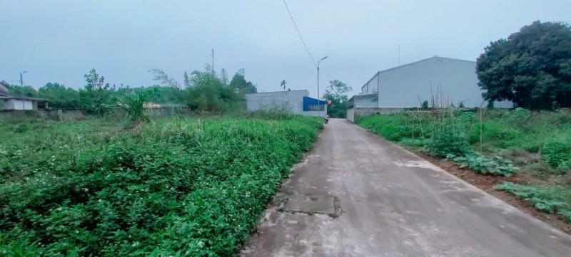 MÌNH CẦN BÁN ĐẤT ĐẸP Ở P.THỊNH ĐỨC- TP.THÁI NGUYÊN-THÁI NGUYÊN