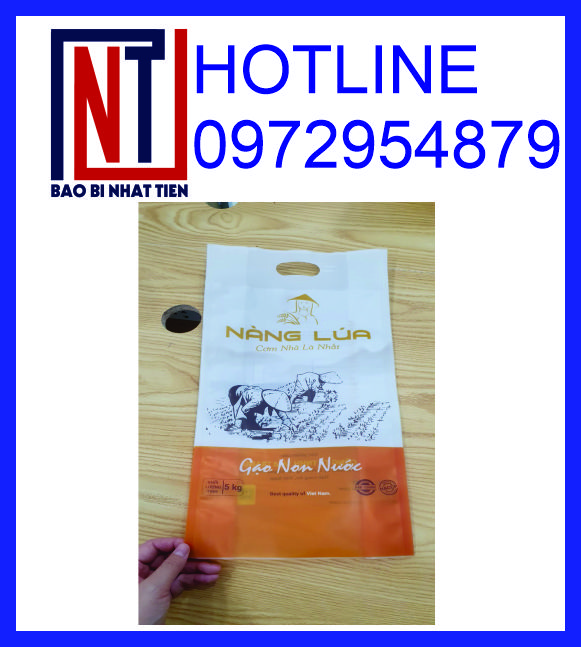 Cung cấp túi đựng gạo 1kg, 2kg, 5kg