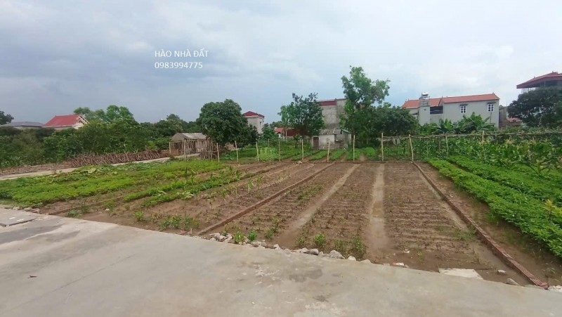 BÁN ĐẤT PHÚ HÒA, LƯƠNG TÀI. 95M2 * MT 5,6M * 1,58 TỶ. Ô TÔ THÔNG. FULL THỔ CƯ