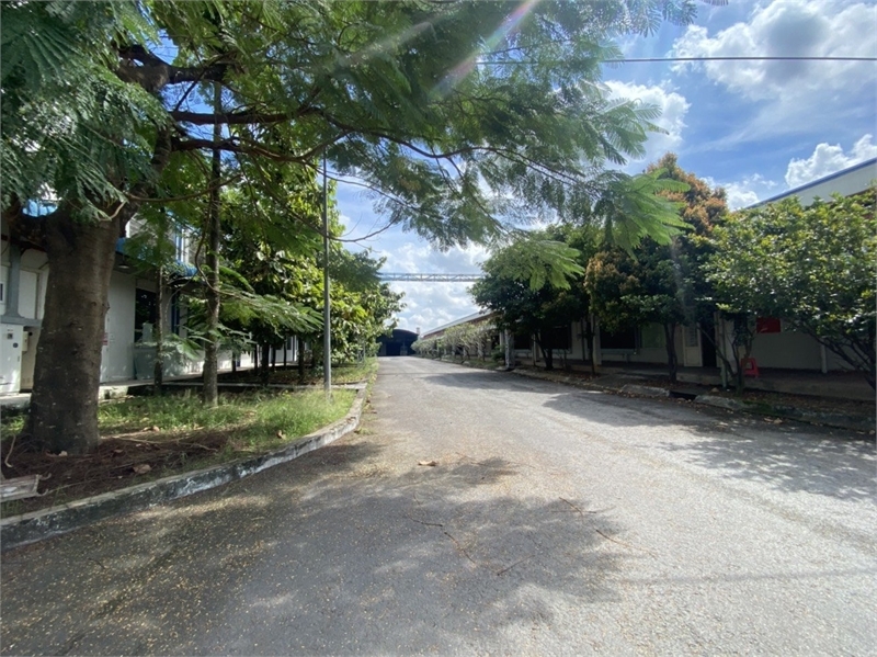 Chuyển nhượng toàn bộ công ty, giấy tờ đầy đủ, với chủ trương cấp phép đa ngành nghề