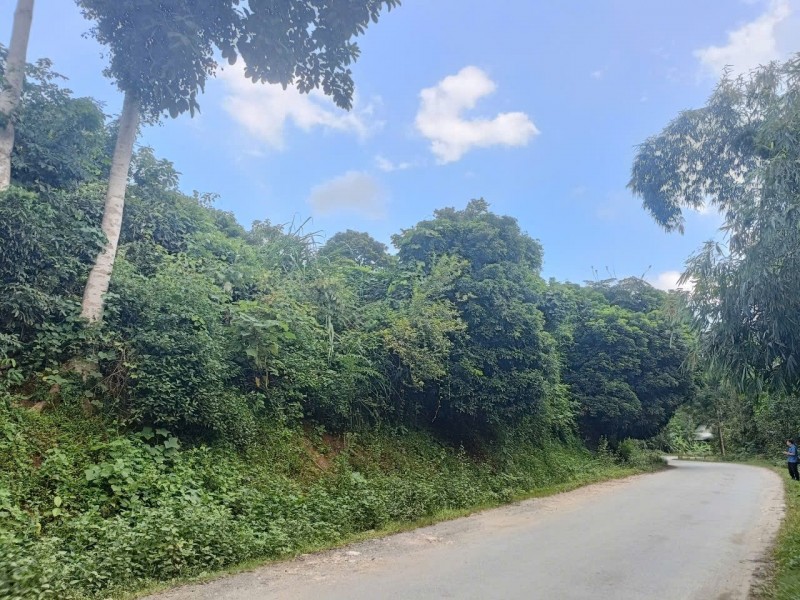 Chủ cần chuyển nhượng quyền sd đất, lô đất có 1---0---2  tại Hợp Thành, Kỳ Sơn, Hòa Bình, 14000m2