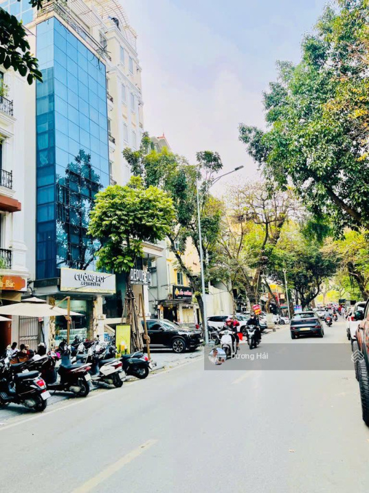 Bán nhà Mặt Phố Cát Linh - Đống Đa - S 120m MT 10m - Vỉa Hè Kinh doanh - Xây Tòa nhà đẹp