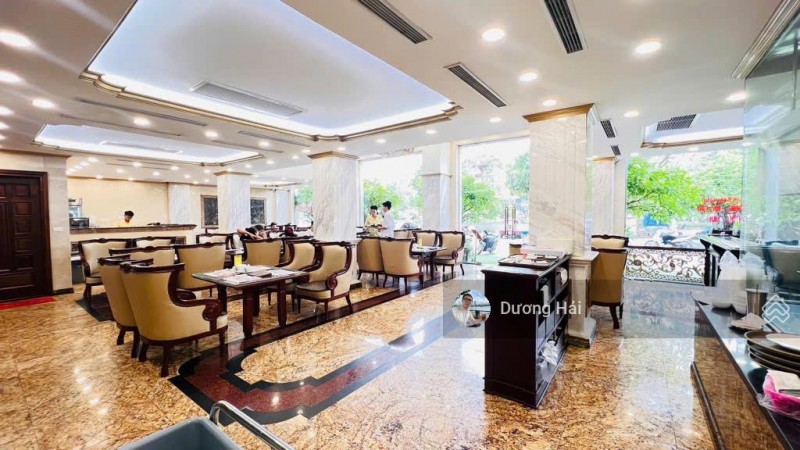 Bán nhà Mặt Phố Cát Linh - Đống Đa - S 120m MT 10m - Vỉa Hè Kinh doanh - Xây Tòa nhà đẹp