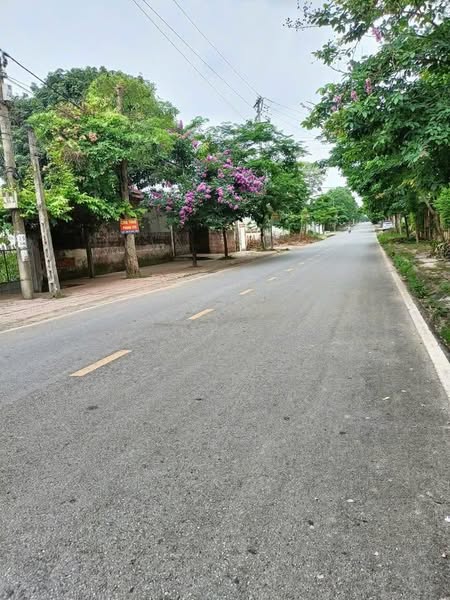 Đất trung tâm phường Xuân Hòa view đồi thoáng mát – Mặt đường lớn, gần 150m²