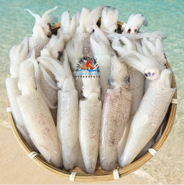 Mực ống trứng