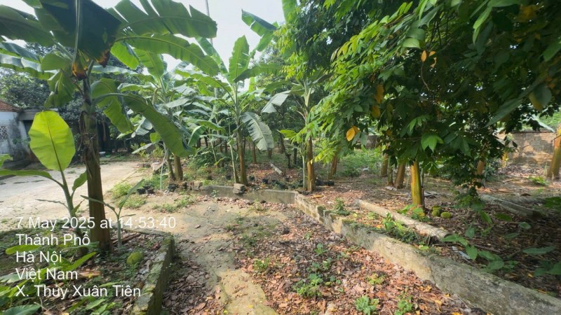 Chính chủ bán 2800m đất xã Thuỷ Xuân Tiên - huyện Chương Mỹ - Hà Nội