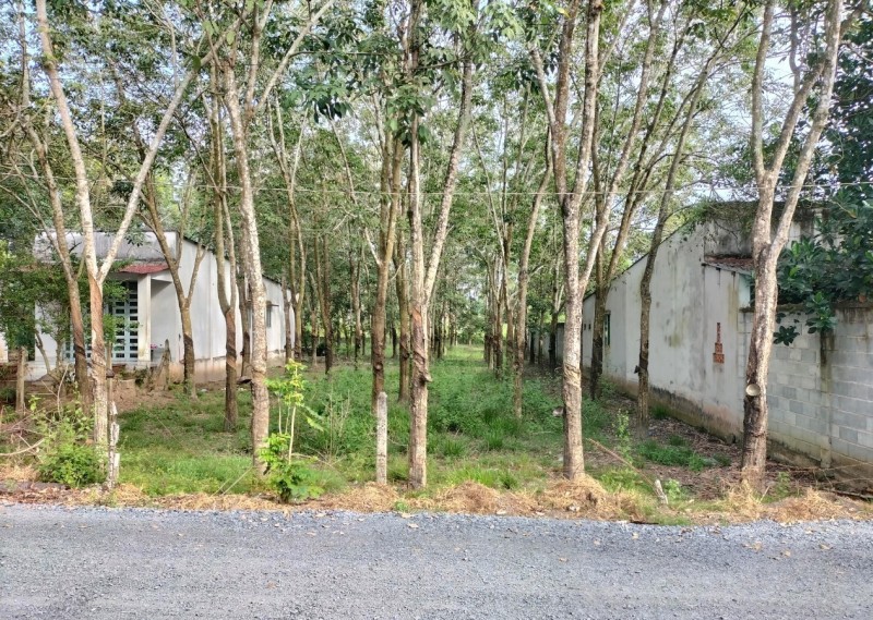 Bán 1000m2 đất thổ cư đường Nhuận Đức- giá 5ty5