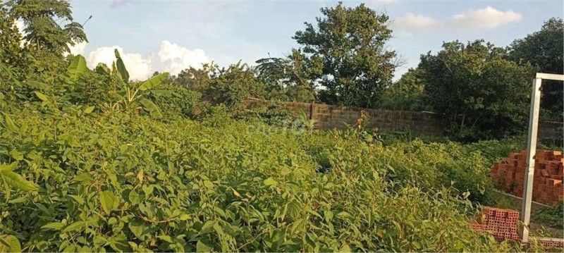 HOT HOT HOT – CẦN BÁN LÔ ĐẤT Tại  Đường Láng The, Xã Tân Thạnh Tây, Huyện Củ Chi, Tp HCM