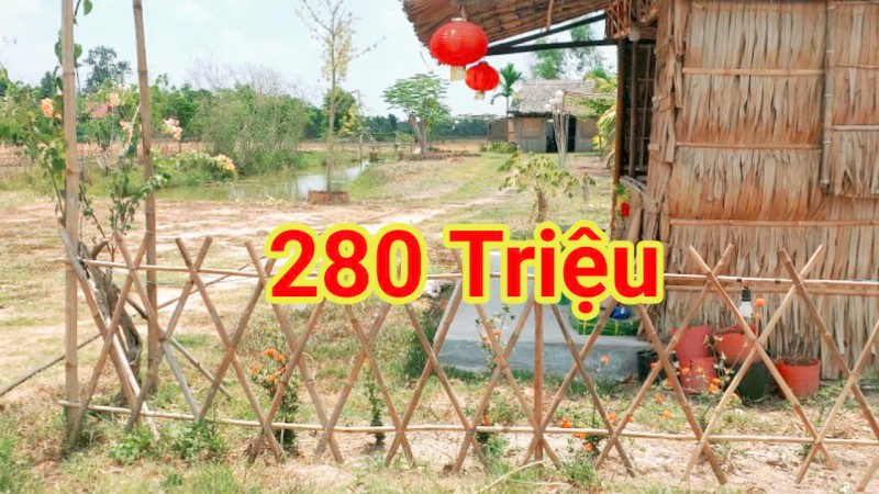 280 Triệu sang Tên 1000m2 có Thổ Cư, Gần DT 818, mỗi tháng trả thêm 3 triệu