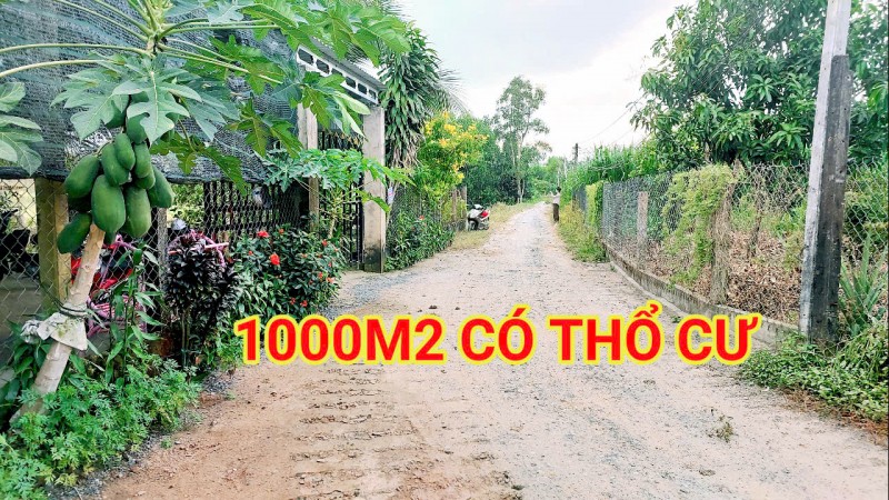 280 Triệu sang Tên 1000m2 có Thổ Cư, Gần DT 818, mỗi tháng trả thêm 3 triệu