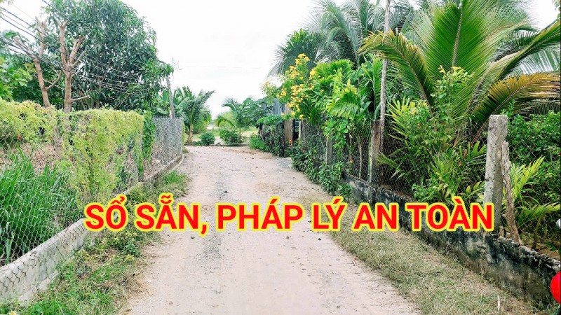 300 Triệu sang Tên 1000m2 có Thổ Cư, Gần DT 818, mỗi tháng trả dần 3 triệu
