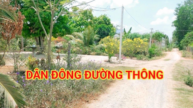 300 Triệu sang Tên 1000m2 có Thổ Cư, Gần DT 818, mỗi tháng trả dần 3 triệu