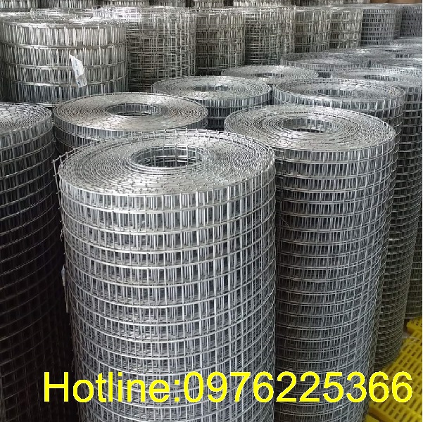 Cuộn lưới hàn mạ kẽm ô 25x25