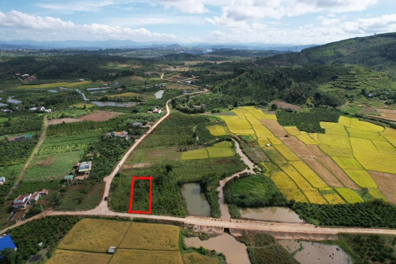ĐẤT ĐẸP - GIÁ TỐT - Vị Trí Đắc Địa Tại Xã Đinh Lạc, Huyện Di Linh, Lâm Đồng