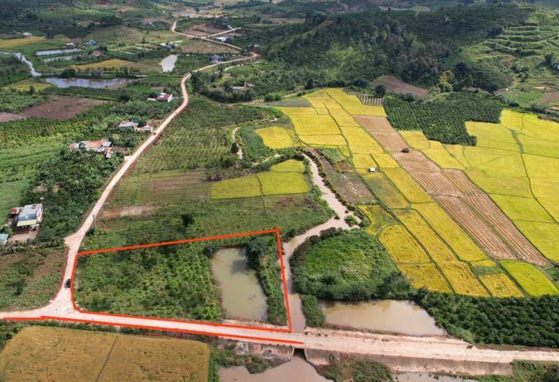 ĐẤT ĐẸP - GIÁ TỐT - Vị Trí Đắc Địa Tại Xã Đinh Lạc, Huyện Di Linh, Lâm Đồng