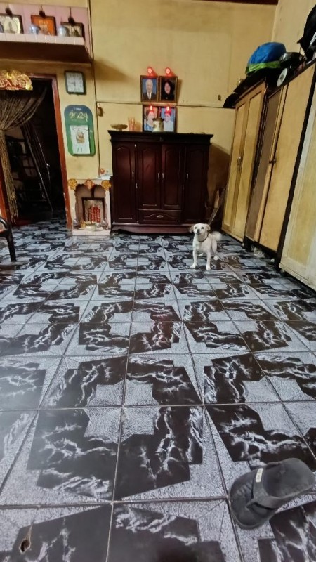 CẦN TIỀN BÁN GẤP NHÀ HOÀI THANH [P14, Q8] DT: 83M2 (4.3X 2OM) 2T, 5PN CHỈ 7 TỶ ĐƯỜNG TRƯỚC NHÀ RỘNG