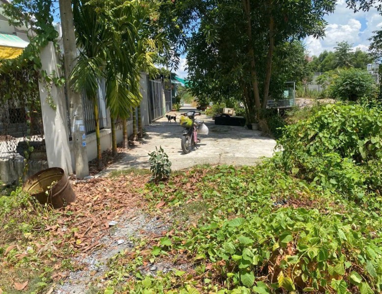 ĐẤT ĐẸP - ĐẦU TƯ SINH LỜI - CHỦ Cần Bán Nhanh - Vị Trí Tại : Tỉnh Tây Ninh
+ Giá mong muốn : 380