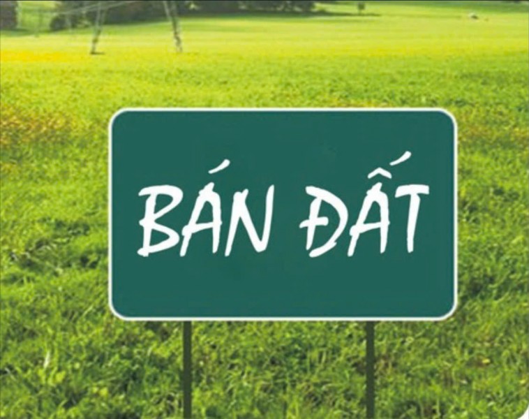 CHÍNH CHỦ CẦN BÁN LÔ ĐẤT ĐẸP - GIÁ TỐT - Vị Trí Đắc Địa Tại, Xã Phương Trung, Thanh Oai, TPHN