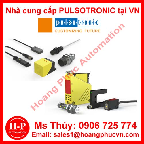 Nhà phân phối Cảm biến góc quay PULSOTRONIC tại việt nam