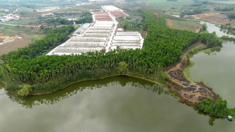 Tài chính chỉ từ 3xx quý khách có thể sở hữu 1 ô đất diện tích trên 200m2