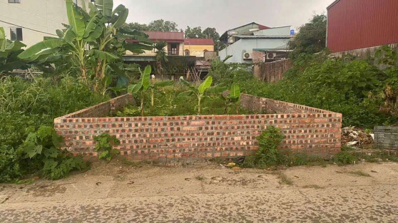 TRỤC CHÍNH KINH DOANH TỔ 10 TT QUANG MINH,55M,MT 4M.GẦN CHỢ,TRƯỜNG