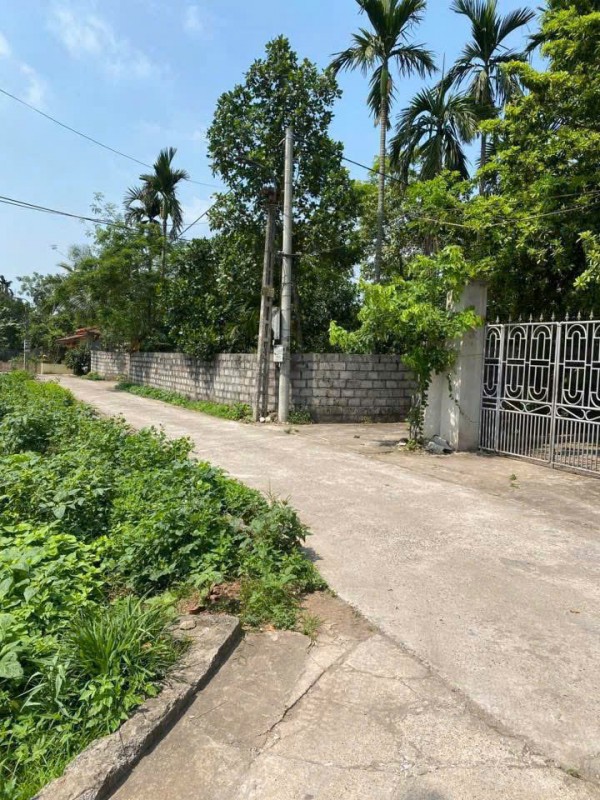 CHÍNH CHỦ CẦN CHUYỂN NHƯỢNG ĐẤT LÔ GÓC 620m²
