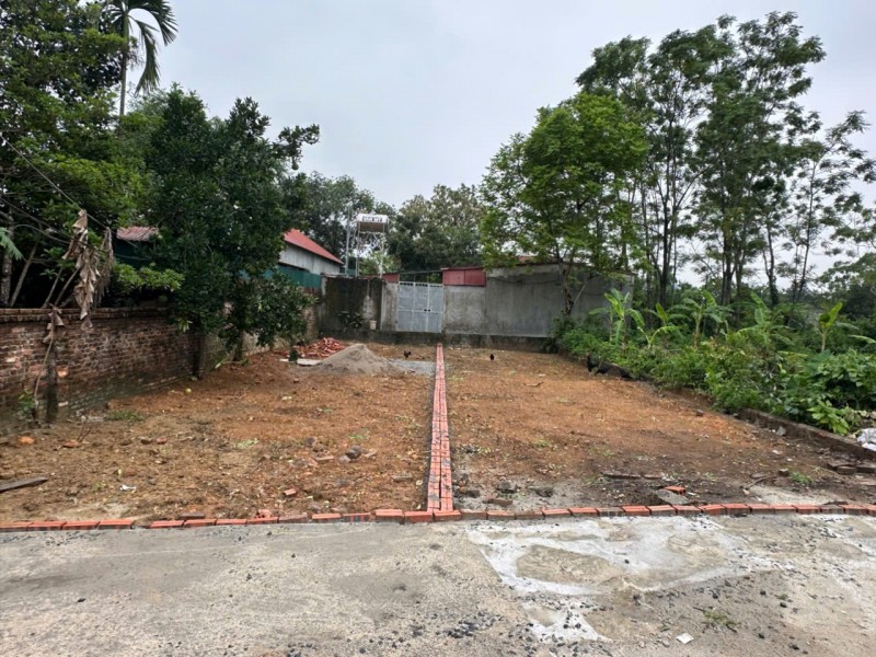199m đông sơn