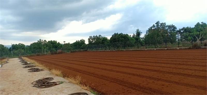 Bán 50ha đất kho nhà xưởng 50 năm tại Huyện Triệu Sơn, Tỉnh Thanh Hóa