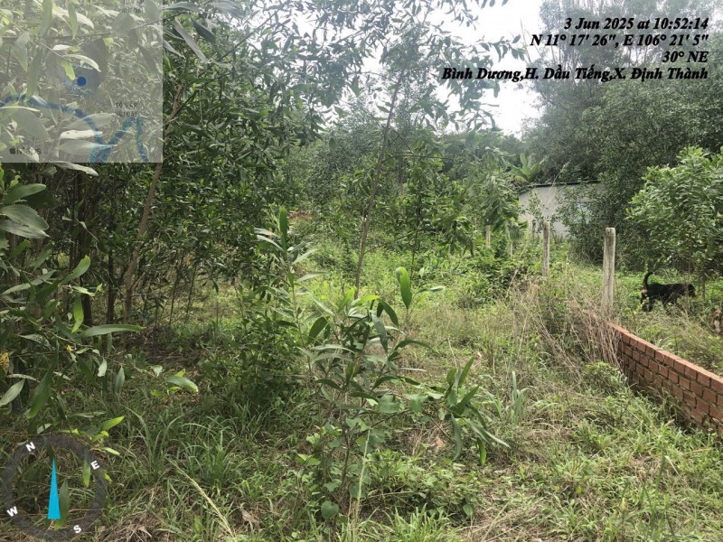CHÍNH CHỦ CẦN BÁN GẤP LÔ ĐẤT TẠI XÃ ĐỊNH THÀNH - H. DẦU TIẾNG - BÌNH DƯƠNG