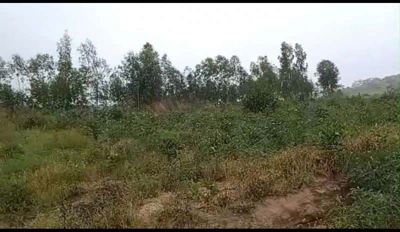 CHÍNH CHỦ CẦN BÁN NHANH GẦN 10HA ĐẤT TRỒNG CHÀM Tại LaGi, Bình Thuận - Giá Siêu Rẻ