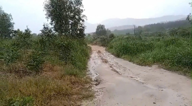 CHÍNH CHỦ CẦN BÁN NHANH GẦN 10HA ĐẤT TRỒNG CHÀM Tại LaGi, Bình Thuận - Giá Siêu Rẻ