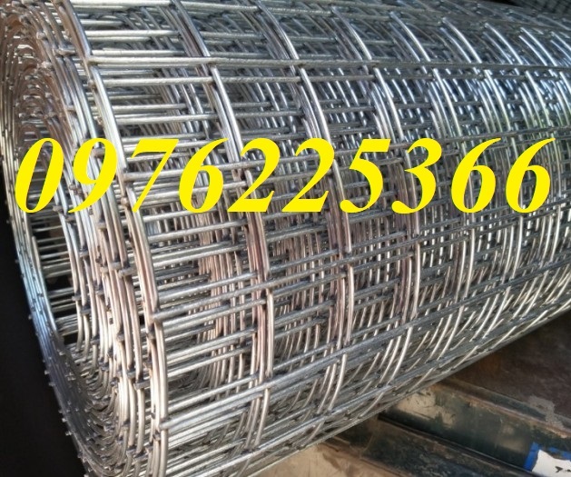 Lưới hàn mạ kẽm D2a50x50, D3a50x50, D4a50x50