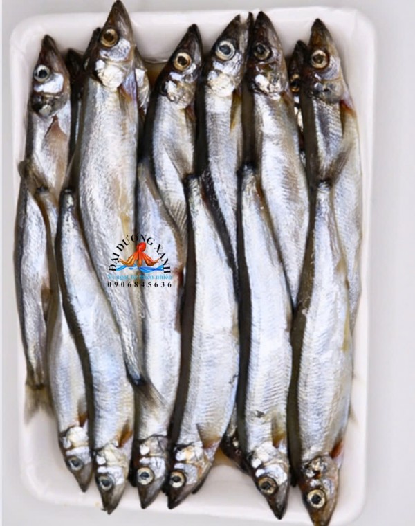 Cá trứng
