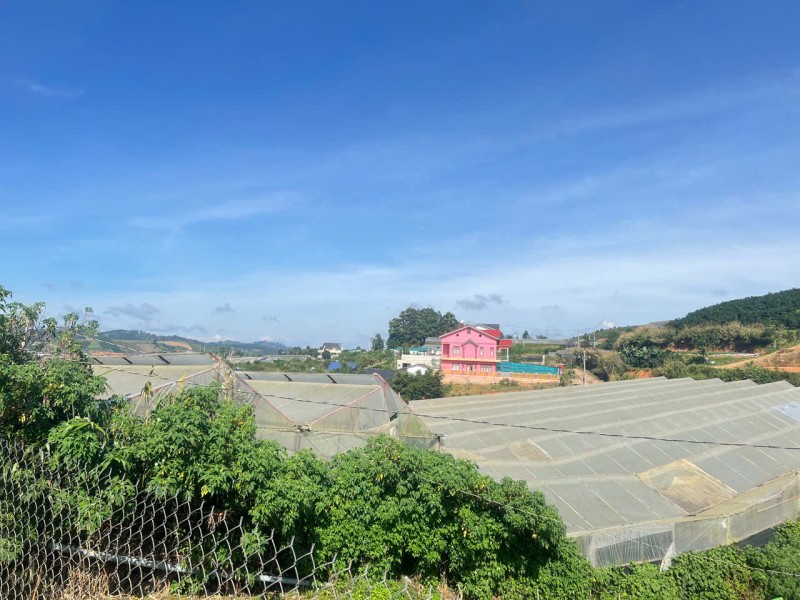 ĐẤT ĐẸP – GIÁ ĐẦU TƯ   - CẦN BÁN LÔ ĐẤT 2 MẶT TIỀN ĐẸP TẠI Thị trấn Lạc Dương,  Lạc Dương , Lâm Đồng
