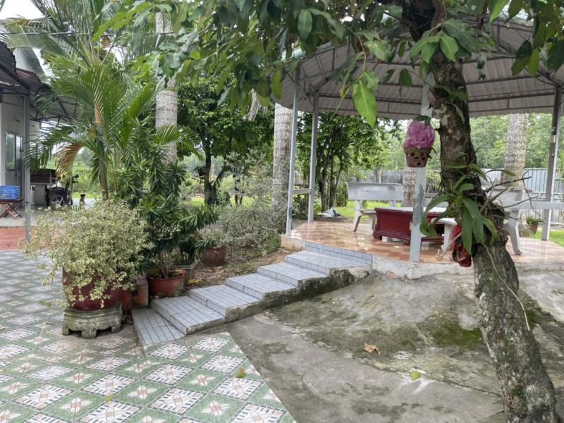 Củ Chi: Bán Gấp 7500m² Đất Thổ Cư MT Nguyễn Văn Khạ, Phước Vĩnh An, Giá Chỉ 33 Tỷ